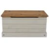 Corona Storage Trunk, Grey
