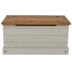 Corona Storage Trunk, Grey