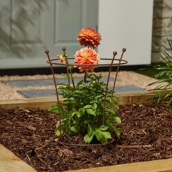 Churchgate Peony Support