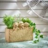 Set Of 3 Cockapoo Planters
