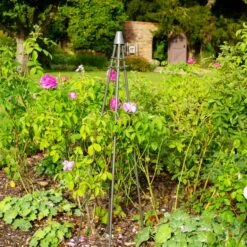 Outdoor Plant Support Tripod Climber -ELEND SHOP 30849542 alt06