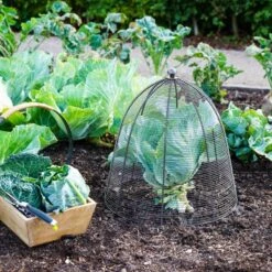 Outdoor Wired Plant Protector -ELEND SHOP 30849546