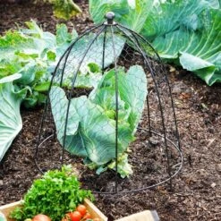 Outdoor Wire Netted Plant Protector -ELEND SHOP 30849550