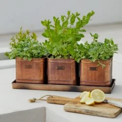 Set Of 3 Herb Hampton Outdoor Planters With Tray