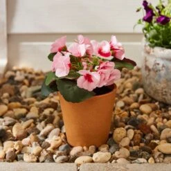 Artificial Geranium In Plant Pot -ELEND SHOP 30926355