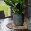 Kew Embossed Fern Plant Pot