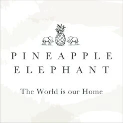 Pineapple Elephant Set Of 2 Textured Frayed Placemats 23 Pineapple Elephant Set Of 2 Textured Frayed Placemats -ELEND SHOP 30960868 alt05