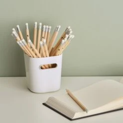 Smart Store 0.6L Mini Compact Storage Box