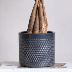 Capri Plant Pot -ELEND SHOP 30971618 alt01