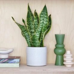 Capri Plant Pot -ELEND SHOP 30971682