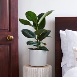 Capri Plant Pot -ELEND SHOP 30971692