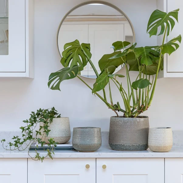 Celeste Ceramic Plant Pot 15 Celeste Ceramic Plant Pot - Image 15