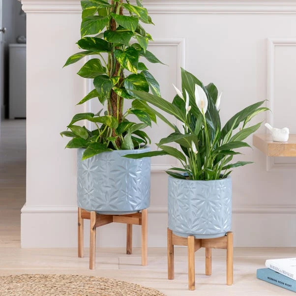 Aspen Flower Ceramic Plant Pot With Stand 6 Aspen Flower Ceramic Plant Pot With Stand - Image 6