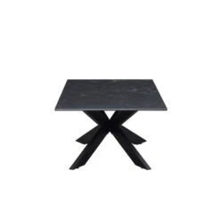 Indus Valley Athena Coffee Table -ELEND SHOP 30988222 alt03